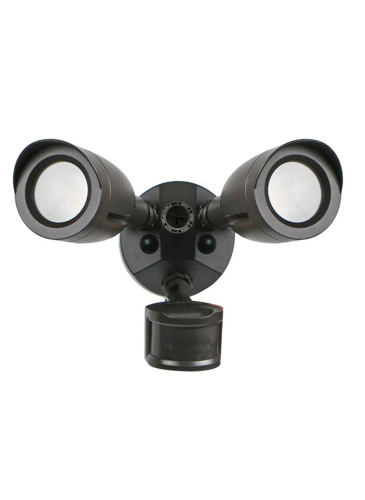 Security Light